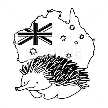 Echidna with map of australia in the background ~ Clip Art #124208343
