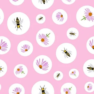 Echinacea and circles vector seamless pattern on pink background Stock Illustration