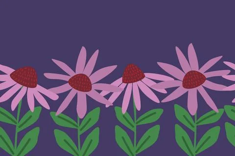 Echinacea floral background Stock Illustration