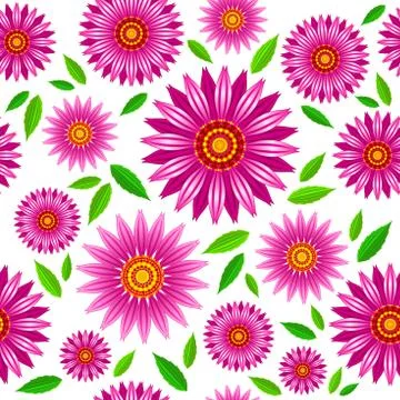 Echinacea purpurea flowers vector seamless pattern. Stock Illustration