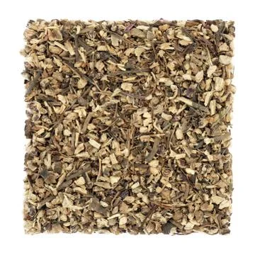 Echinacea Root Herb Stock Photos