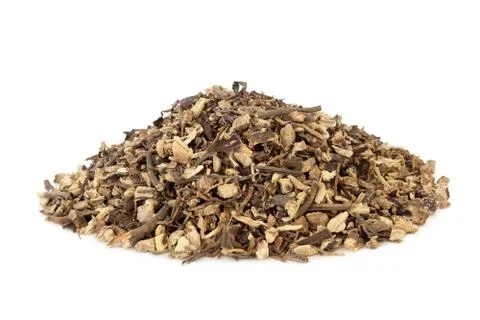 Echinacea Root Herb Stock Photos