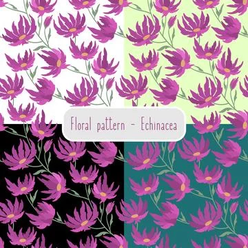 Echinacea. Seamless pattern with handdrawn flowers Stock Illustration