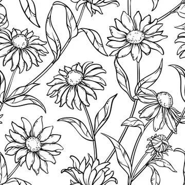 Echinacea seamless pattern Stock Illustration
