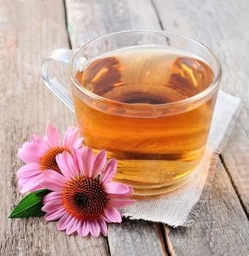 Echinacea tea Stock Photos