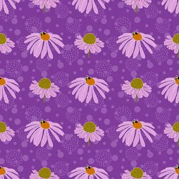Echinacea vector seamless pattern design purple background Stock Illustration