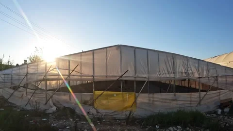 Echo Drive Stock Footage 221675009