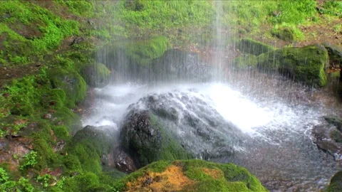 Echo Falls 스톡 동영상 332195810