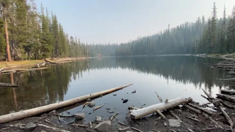 Echo Lake California Forest Stock Footage 250485977