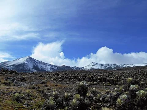 The Echo of the Mountains 10 Stock Photos