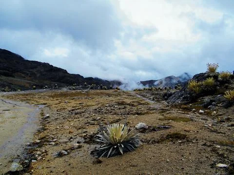 The Echo of the Mountains 105 Stock Photos