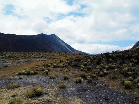The Echo of the Mountains 109 Stock Photos