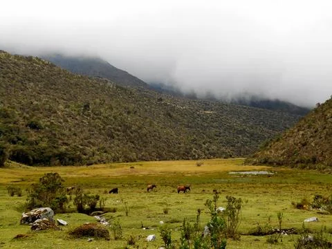 The Echo of the Mountains 11 Foto stock