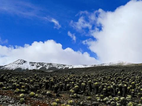 The Echo of the Mountains 23 Foto stock