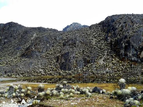 The Echo of the Mountains 51 Stock Photos