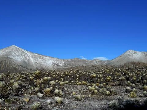 The Echo of the Mountains 71 Foto stock