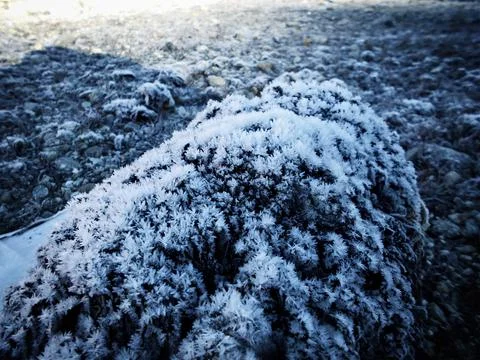 The Echo of the Mountains 80 Stock Photos