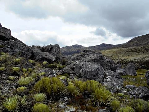 The Echo of the Mountains 98 Stock Photos