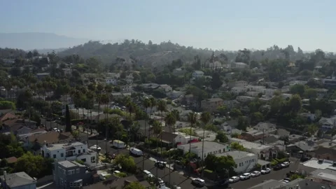 Echo Park Aerial Orbit With Palm Trees and Dodger Stadium in Distance Stock Footage 346655872