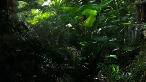 Echo Park 動画素材 93811677