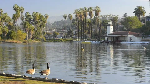 Echo Park Stockbeeldmateriaal 122604551