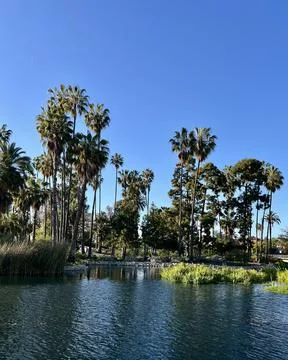 Echo park, LA Stockfoto's