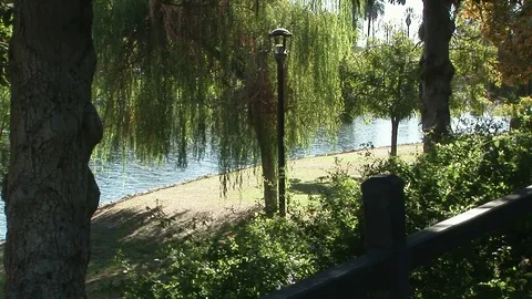 Echo Park with lake in background Los Angeles, California Stock Footage 82954930