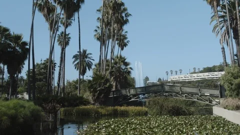 Echo Park, Los Angeles Stock Footage 123367012