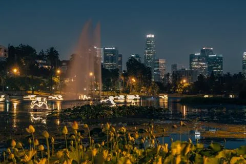 ECHO PARK MEDIUM Stock Photos