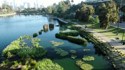Echo Parl Lale Aerial View Video stock 107042675