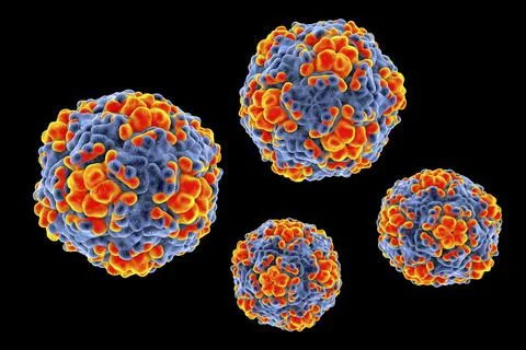 Echo viruses, 3D illustration Stock Illustration
