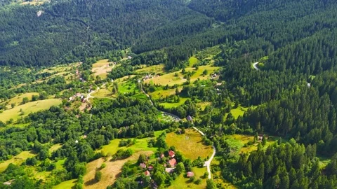 Echoes of Natures Past Stock Footage 312241371