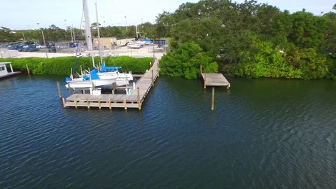 Eckerd College Marina 2 Stock Footage 113016307