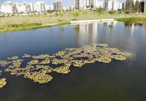 Ecko Park Hadera Stock Photos