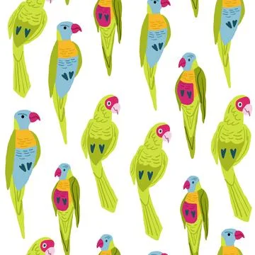 Eclectus parrot vector seamless pattern on white. Exotic bird pattern. イラスト素材