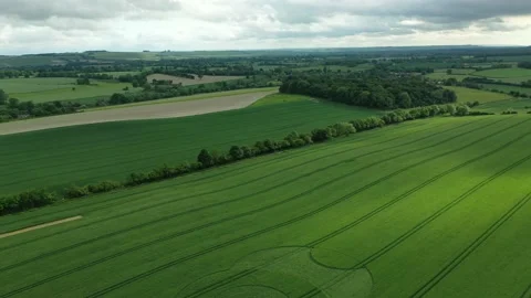 Eclipse Crop Circle Revealing Circle Drone Footage 4K, 9th June 2021, Wooton Stock Footage 155912506