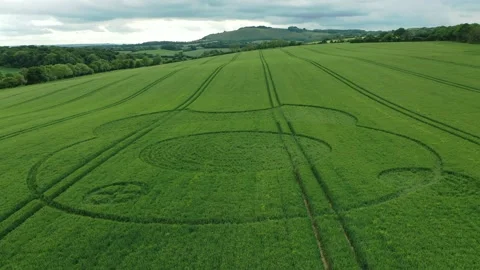 Eclipse Crop Circle Revealing Rising Drone Footage 4K, 9 June 2021, Wiltshire UK Stock Footage 155919286