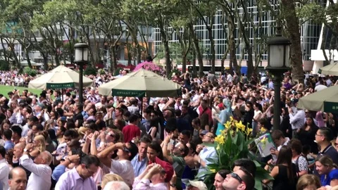 Eclipse Stock Footage 79074723