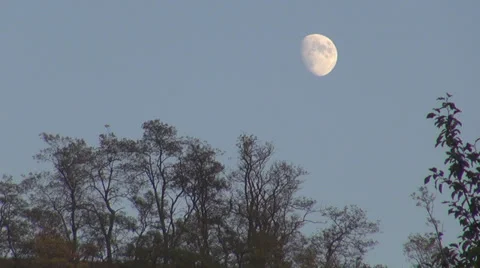 Eclipse moonrise forest tree twilight paris blue sky mountain lunar universe  스톡 동영상 32454118