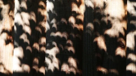 Eclipse shadows on fence Stock Footage 81746681