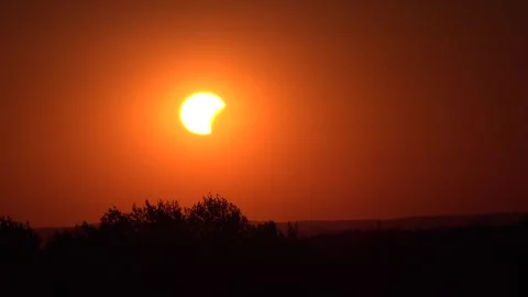 Eclipse Sunset 2026, Sunrise in Forest, Sun Rays in Wood, Mountains Alpine View Stock Footage 342790604