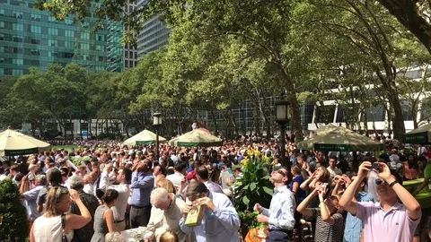 Eclipse Watchers  Stock Footage 79074719