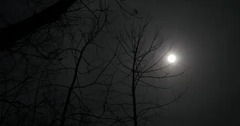 Eclipse (wide and close shot) during totality (April 2024) Stock Footage 274613578