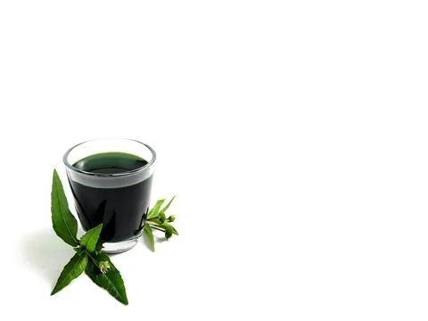 Eclipta Alba or False Daisy plant extract Stock Photos