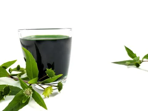 Eclipta Alba or False Daisy plant extract Foto stock