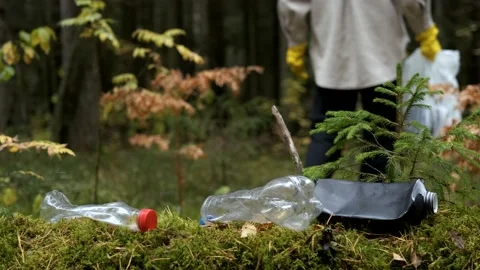 Eco-activist walks through the forest in search of garbage Stock-Footage 169585804