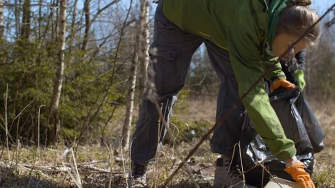 Eco activists picking trash in the forest Stock Footage 128867605