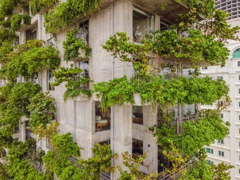 Eco architecture. Green cafe with hydroponic plants on the facade. Ecology and Stock Photos