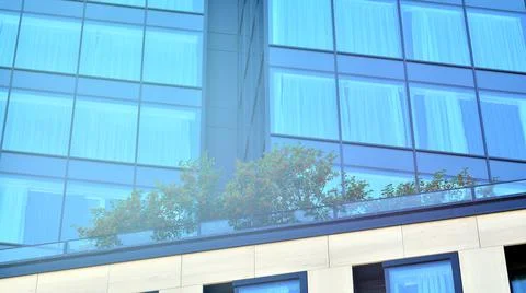 Eco architecture. Green tree and glass office building. Stock Photos