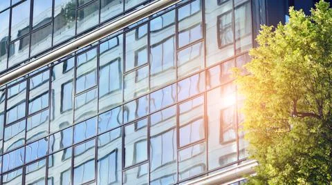 Eco architecture. Green tree and glass office building. Fotos de archivo